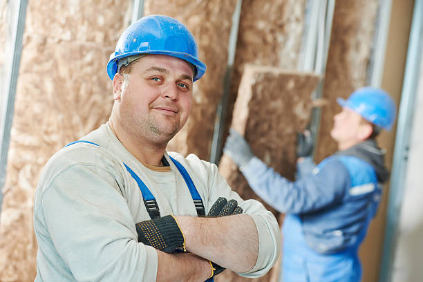 Best Insulation Installation Services in Brown City, MI